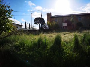 0900b388823b458c (Pequeño)