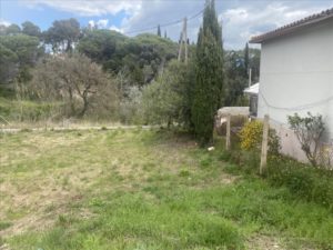 47570791_81442b5899cd80007988a3d57618530f9690f9ca (Pequeño)