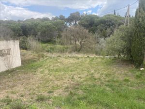 47570792_1edba8167eb87cfdfd9209d2d1e34c2f179cfbe3 (Pequeño)
