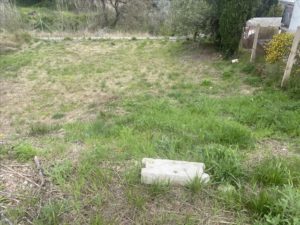 47570794_d42d31c8076fa2bd949cb6003e29c49adc352cdc (Pequeño)