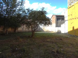 ev07 (Pequeño)