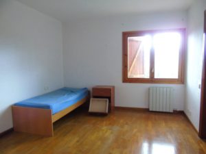 ev14 habt 1 (Pequeño)