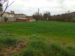 ev01 (Pequeño)