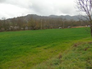 ev02 (Pequeño)