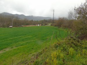 ev03 (Pequeño)