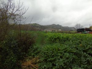 ev04 (Pequeño)
