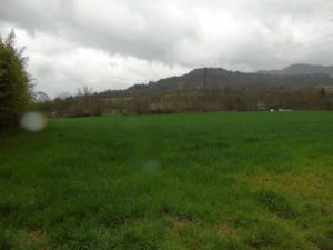ev05 (Pequeño)
