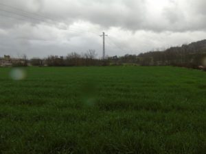ev07 (Pequeño)