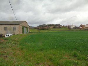 ev09 (Pequeño)