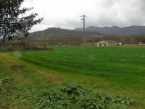ev10 (Pequeño)