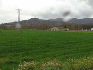 ev11 (Pequeño)