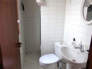 ev43 baño con ducha (Pequeño)