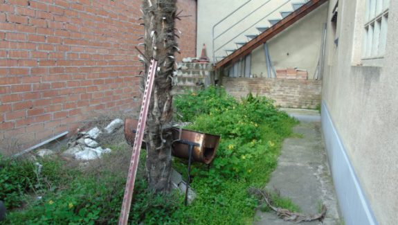 ev3 (Pequeño)