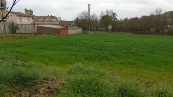 ev01 (Pequeño)